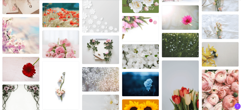 Canvaで花と検索して出てくる無料写真